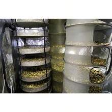 Hanging Dry Net Dry Rack with clips XL Model poincs by GRO1 - Verde - Ver 2