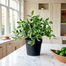 20厘米仿真百合草植物，黑色园艺花盆，户外仿真盆栽装饰，室内家居装饰，桌面摆件，摄影道具 - 綠色 - 查看 9