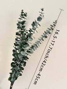 5/10/15/20 piezas de Ramas de Eucalipto Preservadas, Arreglo Floral DIY, Decoración para Hogar, Boda y Aniversario