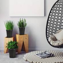 1pc/50pcs 1 Gallon Planter, 6.5 Inch Plastic Plant Pot, Plastic Flower Pot, Plastic Planter Pot, Planter Pot, Succulent Plant, Planter Pot With Plant Label - Black - View 3