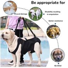 Adjustable Breathable Shoulder Strap Dog Leash, Assist Elderly, Disabled, Small/Medium/Large Dogs Up And Down Stairs, 4 Carrying Modes (Front/Back) - Black - View 9