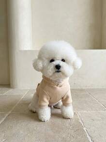 PETSIN 1 件新款秋冬狗狗猫咪连帽运动衫，百搭套头衫，适合贵宾犬、比熊犬、雪纳瑞犬和小型宠物 - 彩色 - 查看 3