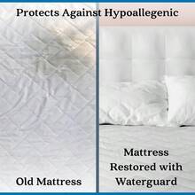 Full - Waterguard Waterproof Mattress Protection Cover - Premium Cotton Bed Bug Protector Hypoallergenic and Vinyl-Free - Full Size - Ultra Soft and Breathable - Blanco - Ver 5