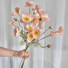 1/5/8 bông hoa anh túc nhân tạo, dài 59cm, mỗi bông có 4 cánh, kiểu dáng đơn giản và hiện đại, có thể uốn cong và không phai màu - Dùng để trang trí tường hoa DIY, bố trí cảnh quan, cắm hoa trong bình phòng khách và phòng ngủ, trang trí đám cưới, tiệc tùng. - Màu Hồng  San hô - Xem 1