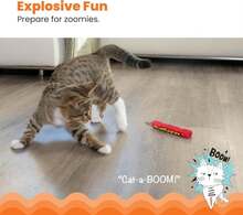 Catstages Green Magic Dynamite Stick Catnip Cat Toy - Màu B - Xem 1