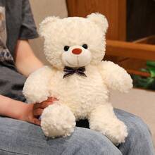 1个情人节礼物糖果色泰迪熊毛绒娃娃，柔软可爱，可作抱枕，家居装饰，送给女朋友、闺蜜、孩子的生日礼物 - 彩色 - 查看 5