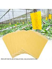 EstiloTendenciaGarosa 50 Unids Tablero De Mosquitos Doble Cara Trampas De Insectos Colector Asesino Plagas Pegajosa Para Volar Insecto Planta Como ÁFidos Mosca Blanca MoscasCalidad PremiumVersióN Mejorada