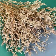 Ramo de flores secas paquete de flores de caspia secas lavanda floral arreglos de flores artificiales para decoración de bodas corona de puerta decoración de jarrón de mesa de fiesta en el hogar natural 17 pulgadas - Natural - Ver 4