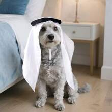 1pc Pet Headband Hat, Handmade Sun Protection & Wind Proof Headwear For Cats & Dogs