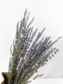 1 Bundle Premium Dried Lavender Flowers - Scented, Decorative Stems For DIY Home Fragrance, Romantic Wedding & Party Decor, Valentines Day Gift, Aesthetic Room Accent - Purple - View 1