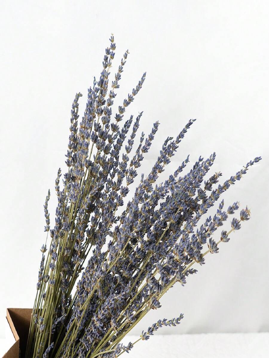 1 Bundle Premium Dried Lavender Flowers - Scented, Decorative Stems For DIY Home Fragrance, Romantic Wedding & Party Decor, Valentines Day Gift, Aesthetic Room Accent - Purple - View 1