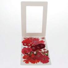 Verdaderas Flores secas álbumes de Recortes DIY Dried Flowers Plant DIY Jewelry Craft Home Decorations DIY Silicone Coaster Resin Molds Perfect Handmade Bookmarks Red - Rojo - Ver 6