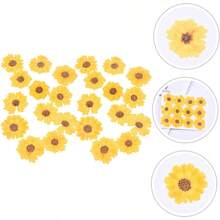 HOMSFOU 5 Series Dried Flowers para Manualidades DIY Flores Secas Presionadas para Decoración De Carcasas De Teléfono Y Scrapbooking Piezas X 5 - 5 - Ver 2
