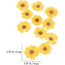 HOMSFOU 5 Series Dried Flowers para Manualidades DIY Flores Secas Presionadas para Decoración De Carcasas De Teléfono Y Scrapbooking Piezas X 5 - 5 - Ver 8