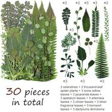 30 piezas de hojas secas prensadas flores secas plantas verdes para muestras de hojas secas naturales resina vegetación seca variada para manualidades de hojas prensadas decoración de bricolaje - como en la foto - Ver 2