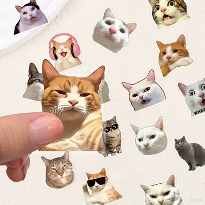 50pcs Funny Cat Stickers, Transparent PET Aesthetic Stickers With Inspirational Quotes, Vibrant Colors, Suitable For Water Bottles, Skateboards, Diaries, Scrapbooks And Party Supplies, Graffiti Style, Durable And Fun Stickers