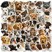56pcs Cute Cat And Dog DIY Waterproof Creative Graffiti Stickers, Tablets, Computers, Laptops, Phone Cases, Guitars, Desktops, Water Bottles, Suitcases, Skis, Toy Decorative Art Stickers, Account Decorative Stickers - Multicolor - View 1