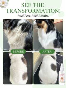 GJYC PET 宠物12合1免洗护发喷雾 - 适用于犬猫的顺毛喷雾，抚平毛躁，亮泽毛发，清新山茶花香，1.86液体盎司，滋养毛发