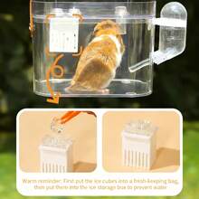 1 Set High Transparency Super Clear Breathable Bird Hamster Cage, Portable Travel Cage With Water Bottle And Care Strap, Panoramic Travel Bag, Small Pet Cage Suitable For Parakeets, Fancy Hamsters, Canaries And Other Small Animals And Birds