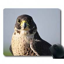 Hawk Nature Hunting Eae Bird Show Precision Locking Edge Gaming Mouse Pad For Computer - Yt24 - View 1