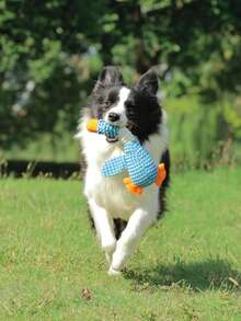 1个柔软毛绒发声狗狗玩偶，帮助狗狗释放和消耗能量，适合小型和中型宠物（不建议大型宠物使用，因为它们可能会咬人）。 - 彩色 - 查看 3