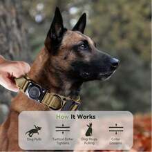 Waterproof Dog Collar With AirTag Holder, Adjustable Tactical Pet Collar With Comfortable Handle And Metal Buckle, Suitable For Medium To Large Dogs