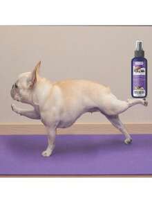 Baby Powders - 1 - View 7