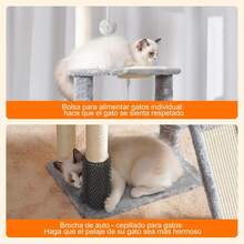 Árboles y casas para gatos - Gris Claro - Ver 5