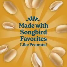 Wild Bird Suet Cake Peanut Delight Bird Food 11.75oz 8-Pack Value Bulk Fresh - 1 - Xem 4