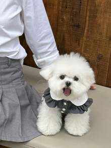 1 chiếc váy xếp ly kiểu Hàn Quốc cho thú cưng, phù hợp với chó Poodle, Bichon Frise, v.v., các giống chó nhỏ đến trung bình. Kiểu váy công chúa giản dị, dễ thương và thời trang với thiết kế khóa cài, mềm mại và ấm áp, phù hợp cho chụp ảnh, hoạt động ngoài trời, tiệc thú cưng, cosplay. - Nhiều màu - Xem 6