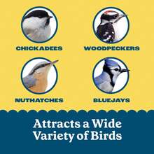 High Energy Suet Cake Wild Bird Food For Year-Round Feeding 8 Count Value Pack Fresh 11.75 Oz - 1 - 查看 5