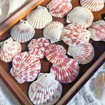 10/20pcs Pre-Drilled Pink White Seashells With Holes | Ready For Jewelry Making, Wind Chime DIY, Beach Wedding Crafts, Ocean Theme Ornaments & Gift Projects