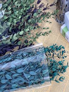 1 Bunch Natural Preserved Eucalyptus Millet Leaf Decor - Elegant Wedding Enhancer & Timeless Home Accent - Dry Flower Arrangement For Photography Props - Naturally Aromatic, Long-Lasting Beauty - Multicolor - View 6