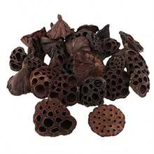 Verdaderas flores secas álbumes de recortes DIY DIY Jewelry Craft Home Decorations 30pcs Dried Plant Stems of lotus Dried Flowers Artificial Flowers for Home Decoration DIY Crafting Accessories - como en la foto - Ver 5
