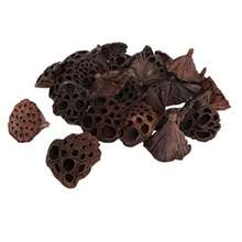 Verdaderas flores secas álbumes de recortes DIY DIY Jewelry Craft Home Decorations 30pcs Dried Plant Stems of lotus Dried Flowers Artificial Flowers for Home Decoration DIY Crafting Accessories - como en la foto - Ver 3