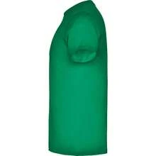 Roly 男女通用兒童 T 卹 100% 純棉（48 小時內發貨）– 多種尺寸和顏色 – 5 件裝 T 卹黃色 (1)、紅色 (1)、紫色 (1)、綠色 (1)、青綠色 (1) – 短袖、雙圓領，帶彈性纖維、側縫、戶外標籤，非常適合學校、戶外使用、通用兒童服裝、雙圓衣和兒童設計、日常 T 卹、常規學校、戶外活動、通用兒童服裝、兒童設計、優質 T 卹卹、舒適兒童服裝 - 多彩彩虹 - 查看 11