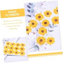 HOMSFOU 5 Series Dried Flowers para Manualidades DIY Flores Secas Presionadas para Decoración De Carcasas De Teléfono Y Scrapbooking Piezas X 5 - 5 - Ver 6