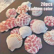 10/20pcs Pre-Drilled Pink White Seashells With Holes | Ready For Jewelry Making, Wind Chime DIY, Beach Wedding Crafts, Ocean Theme Ornaments & Gift Projects - Random Color - View 5