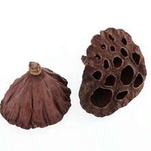 Verdaderas flores secas álbumes de recortes DIY DIY Jewelry Craft Home Decorations 30pcs Dried Plant Stems of lotus Dried Flowers Artificial Flowers for Home Decoration DIY Crafting Accessories - como en la foto - Ver 6
