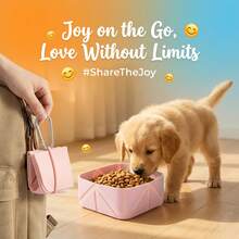 500ml Foldable Silicone Pet Bowl With Carabiner Hook, Multi-Color, Material, Lightweight , Convenient For Outdoor Travel Feeding, Suitable For Dogs And Cats