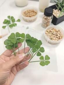 10张/50张精美四叶草明信片 - 适合办公室装饰或作为礼品，耐用塑料材质 - 彩色 - 查看 3