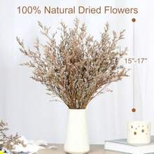 Ramo de flores secas paquete de flores de caspia secas lavanda floral arreglos de flores artificiales para decoración de bodas corona de puerta decoración de jarrón de mesa de fiesta en el hogar natural 17 pulgadas - Natural - Ver 3