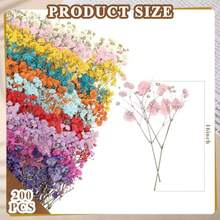 Woanger - Ramo y ramas de Gypsophila prensado natural 200 unidades flores de aliento para bebés para hacer tarjetas arte de resina bricolaje a granel 10 colores - Multicolor - Ver 2