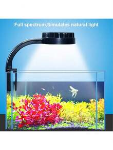 Fishing Light Attractants - 1 - 查看 2