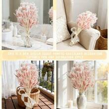 profumo di fiori secchi rosso/rosa, adatto per decorazione domestica, composizioni in vaso, decorazioni per matrimoni e altri abbellimenti degli spazi. Perfetto per il Ringraziamento, San Valentino, Natale, Capodanno e Primavera - Rosa - Visualizzare 8