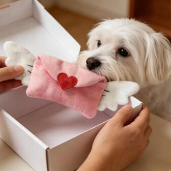 Hollypet 1pc Pink Heart Shaped Envelope Plush Squeaky Dog Doll, Food Hiding Doll, Pet Supplies For Dogs & Cats, Entertaining Gift