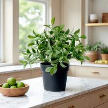 20厘米仿真百合草植物，黑色园艺花盆，户外仿真盆栽装饰，室内家居装饰，桌面摆件，摄影道具 - 綠色 - 查看 8