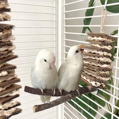 1pc Handmade Parrot Toy, Paper Shell, Corn Husk Weaving, Chewing, Stringing, Peony, Phoenix, Tiger Skin Pattern, Boredom Relief, Bird Cage Hanging Decor