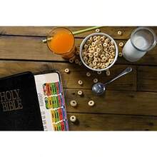 Veggietale R Bible Indexing Tabs - Clasificado - Ver 4