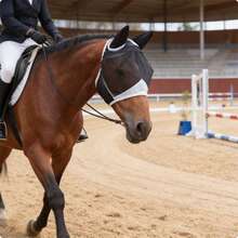 马用柔软网状防蝇面罩，带耳罩，透气性好，适用于保护眼睛和面部，防蝇防紫外线。